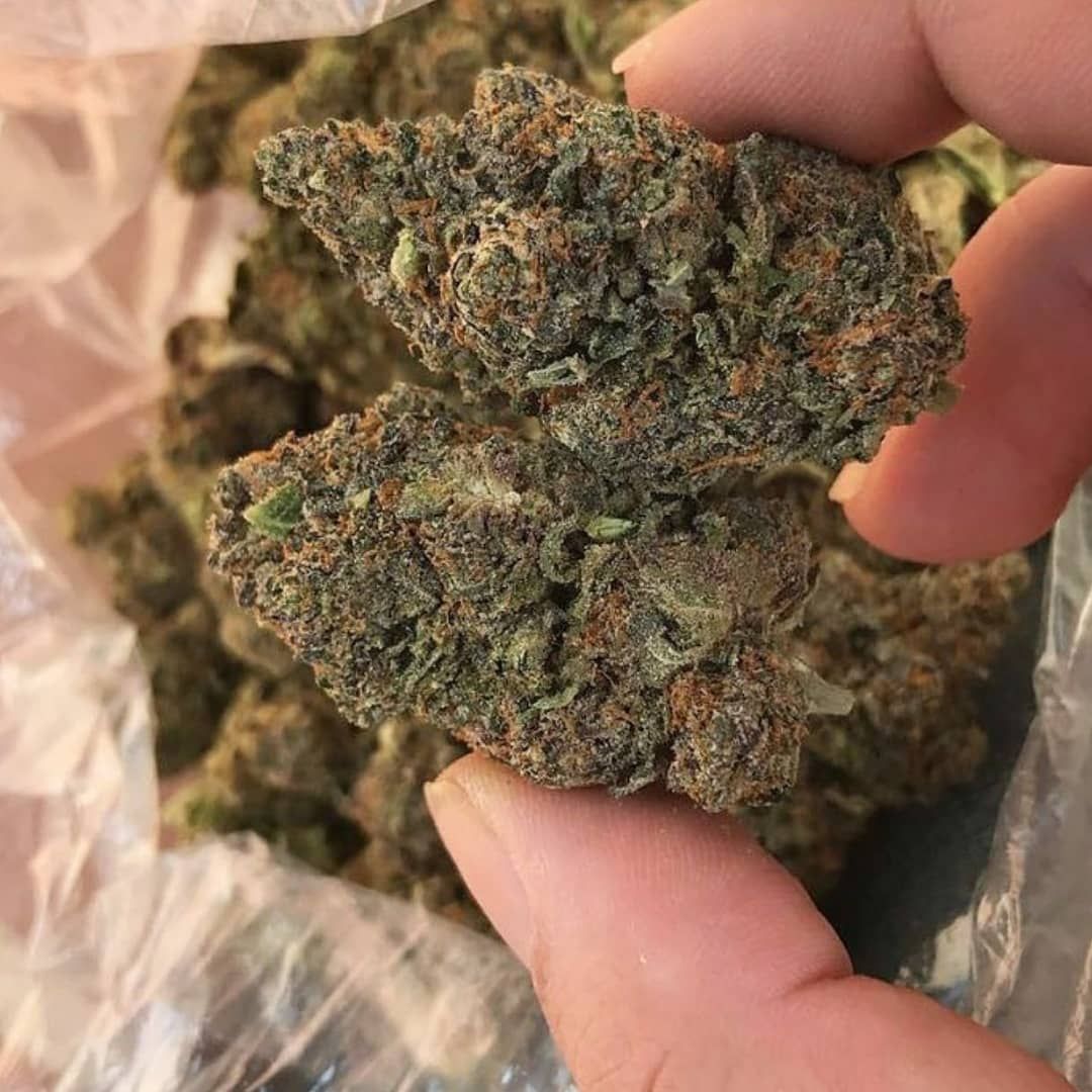 Francew66884543's tweet photo. Viens commander ta weed via
Snap: Weedfrw20
Télégram: https://t.co/s6GUIXu6PQ
#paris16 #paris18 #paris55 #paris19 #paris98 #paris14 #paris10 #paris11 #paris15 #paris44 #paris12eme #paris15 #paris21 #paris10 #paris22 #paris33 #paris13 #nantes #lyon #Versailles https://t.co/MRiFnjQQmI