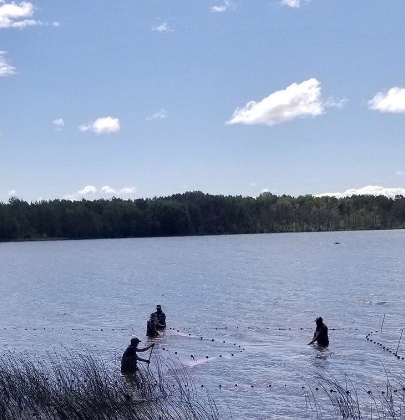 LSSU_CFRE's tweet photo. Here at #CFRE, we love the seine - and so do our students! Seining is a great way to #sample for fish and #socialdistance! 
Our #fisheries #management and #ichthyology students were able to practice using this great gear in Ashmun Bay for their labs. 

#ThisIsLakeState https://t.co/rAW1q1i5MA
