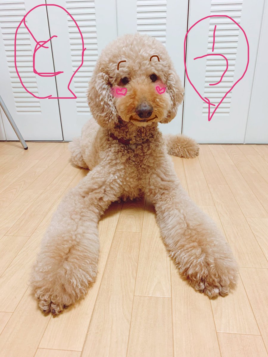 少し早いですが本日もありがとうございました!

明日早いので寝ますー 