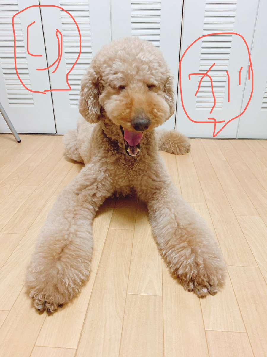 少し早いですが本日もありがとうございました!

明日早いので寝ますー 
