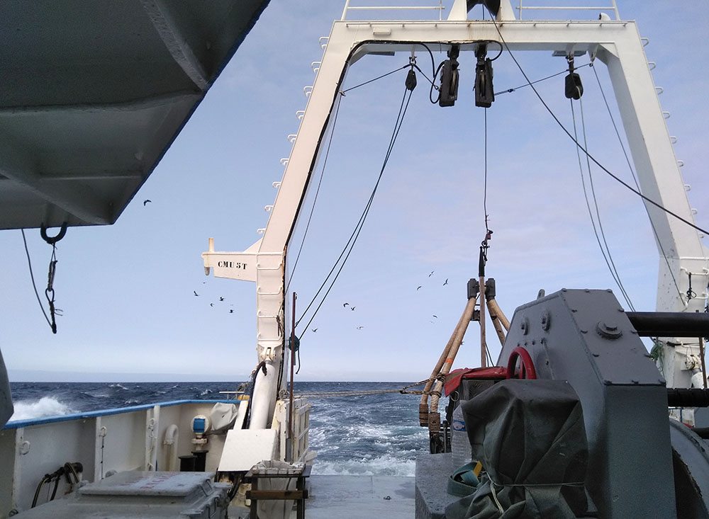 France Energies Marines tweet media