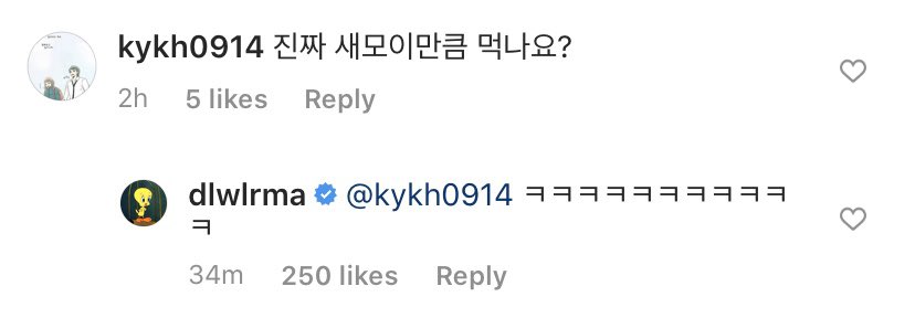 Q. Hi, I want to ask if there’ll be a new album this year, I miss your music... The world needs your music to be healedㅠㅠIU: pftt hahahah Just stay in pain a lil bit more, I’ll hurry up & make (an album) Q. Do you really eat birdseed?IU: kekekekekekke