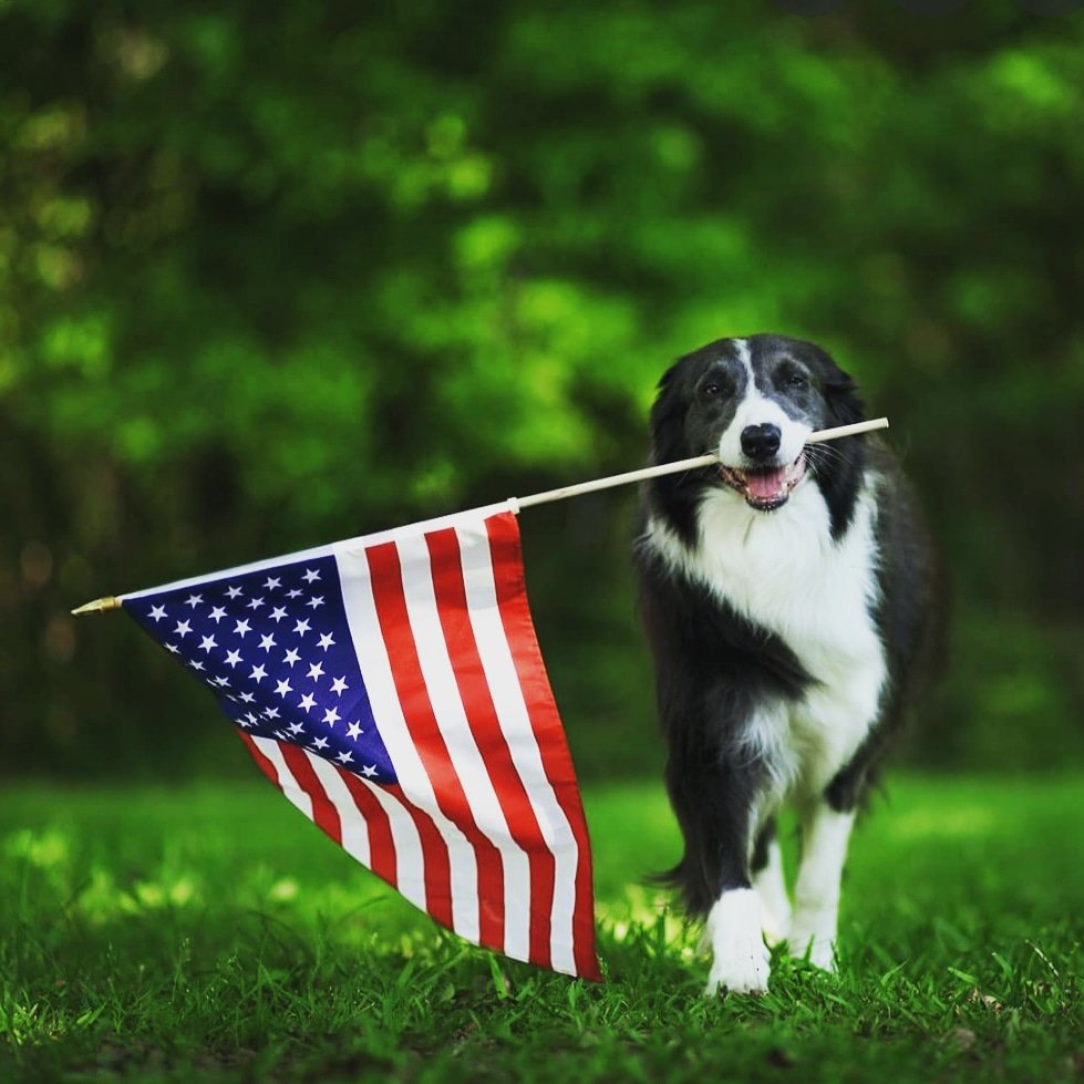 TCRubyHill's tweet image. There may be stress and exhaustion at times, but it is through work that we constantly rediscover and motivate ourselves to be better.
.
.
May you and your family have a safe and happy Labor Day!
.
.
#theclubatrubyhill #rubyhillcountryclub #rubyhill #pga #usga #ncga #wganc #golf