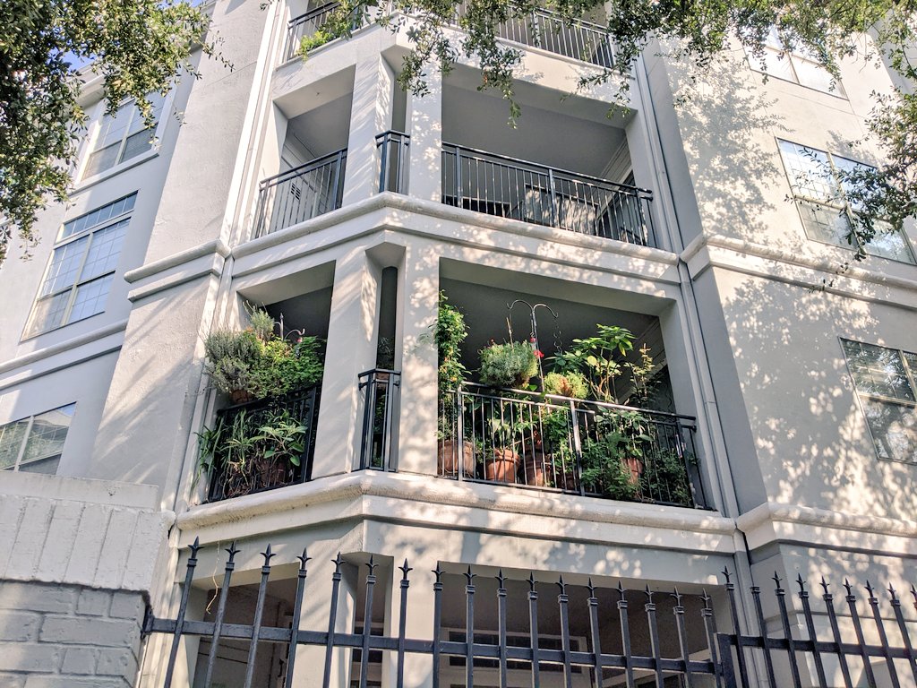 Continuing this thread from Dallas, because you know we got some serious plants here. – bei  West Village
