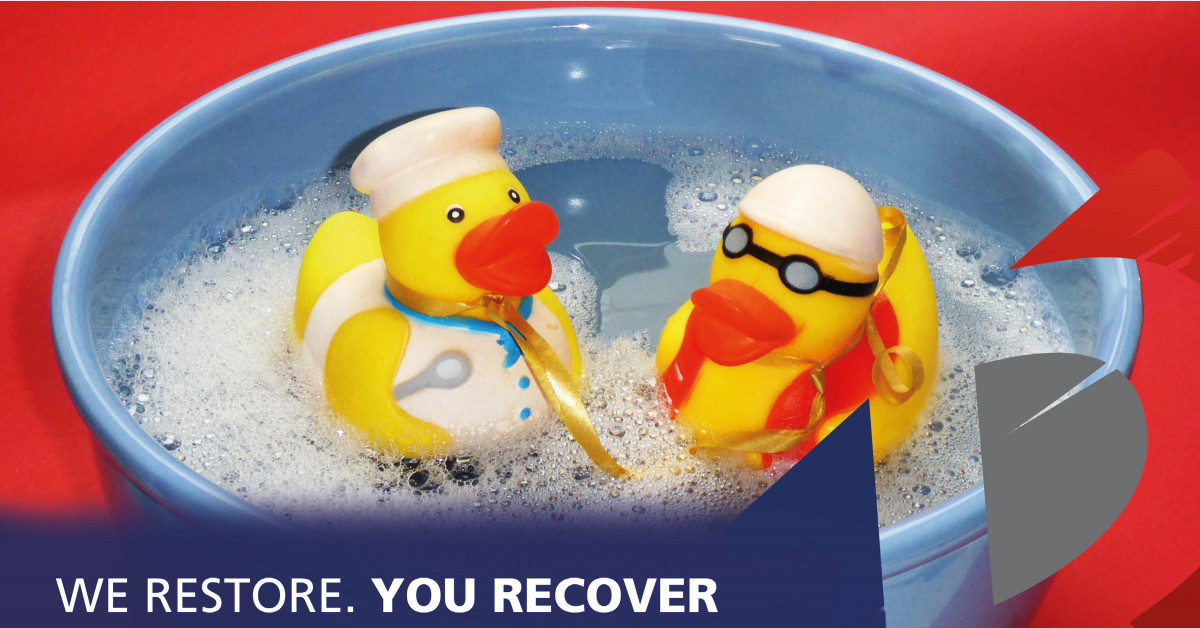 RainbowSheff's tweet photo. Is it time to have your ducts cleaned? Give us a call at Rainbow International Sheffield for a quote #WeRestoreYouRecover https://t.co/Gz1LKyaJtL