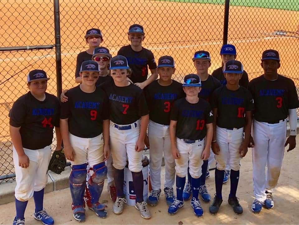 API Baseball Academy tweet media
