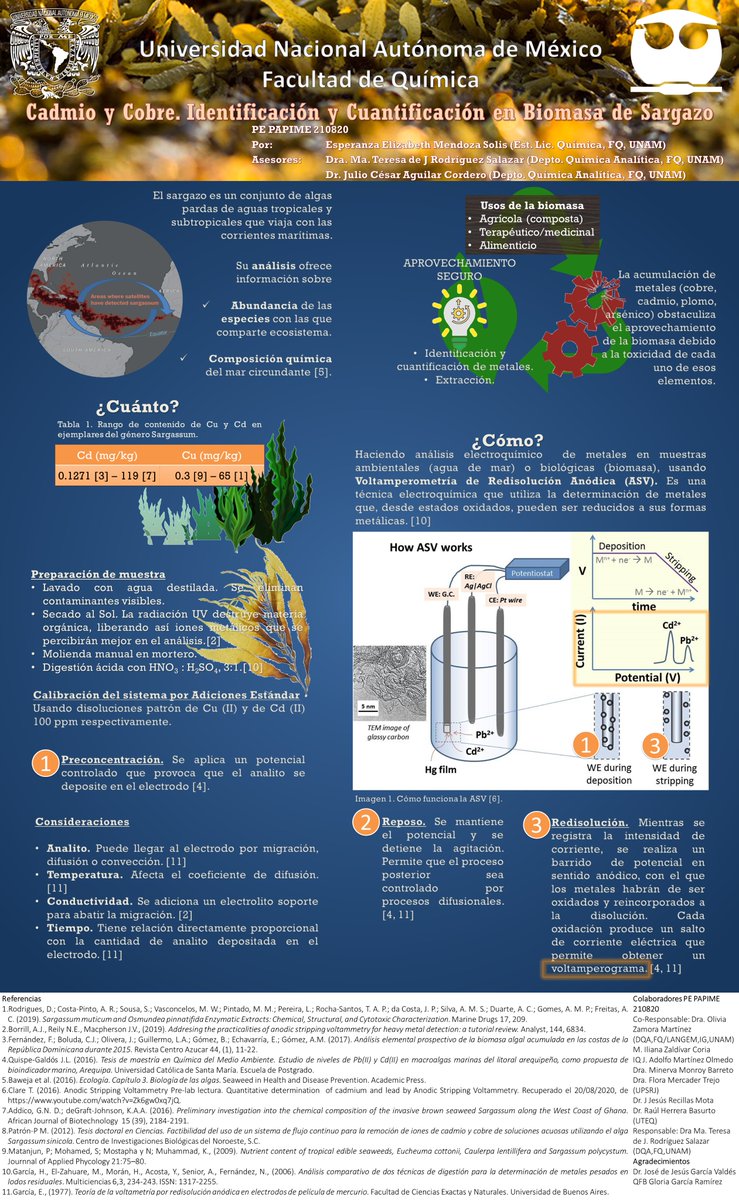 emendozasolis's tweet photo. ¡Hola, @LatinXChem ! Soy Ely Mendoza Solis, estudiante de Química en Facultad de Química UNAM. Cadmio y Cobre. Identificación y Cuantificación en Biomasa de Sargazo.  #LatinXChem #LatinXChemAnalytical #AC65 @mayte6900 https://t.co/TX6xR114vm