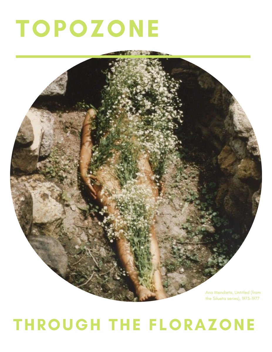 raechelroot's tweet photo. really excited for Topozone to pick back up with a two-part series on plants, gardening and food systems in artistic  practice! our first session "Through the Florazone" is this wednesday! DM me if you're interested in attending. https://t.co/7gQakSj7aW