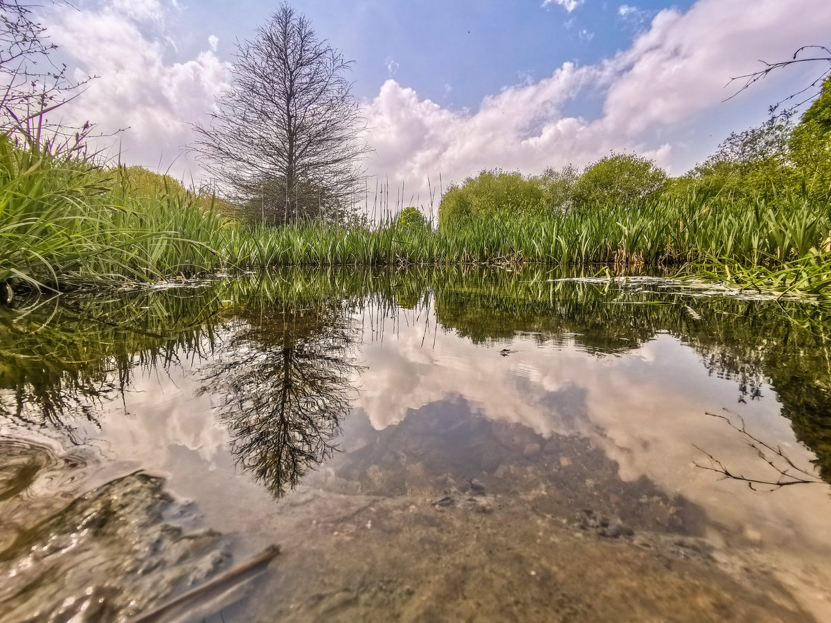 matt_goodrum's tweet photo. A moment to reflect. Taken in Emerson Valley, Milton Keynes. @TheParksTrust @scenesfromMK @ThePhotoHour #lovemk #miltonkeynes #theparkstrust #emersonvalley #reflection #waterreflection #reflect #treereflection #WexMondays https://t.co/kfOV6TMG8t