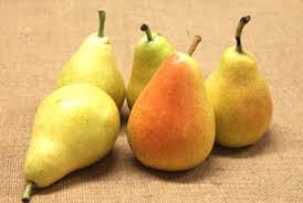 #Adhérents | Oh, là là... les fruits de fin d'été qui s'installent sur nos rayons... comme ils sont beaux ! À savourer sans modération ! Commandez dès maintenant : cooplameute.fr