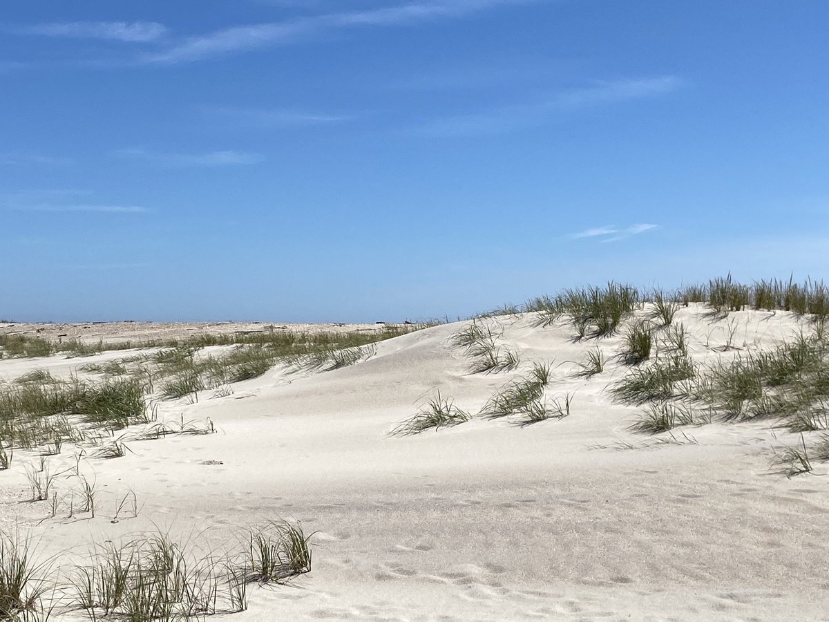johnswan's tweet image. Some sand dunes at the beach a few weekends ago. I will miss those beautiful weekends come fall. 
#longisland #beach #blueskies