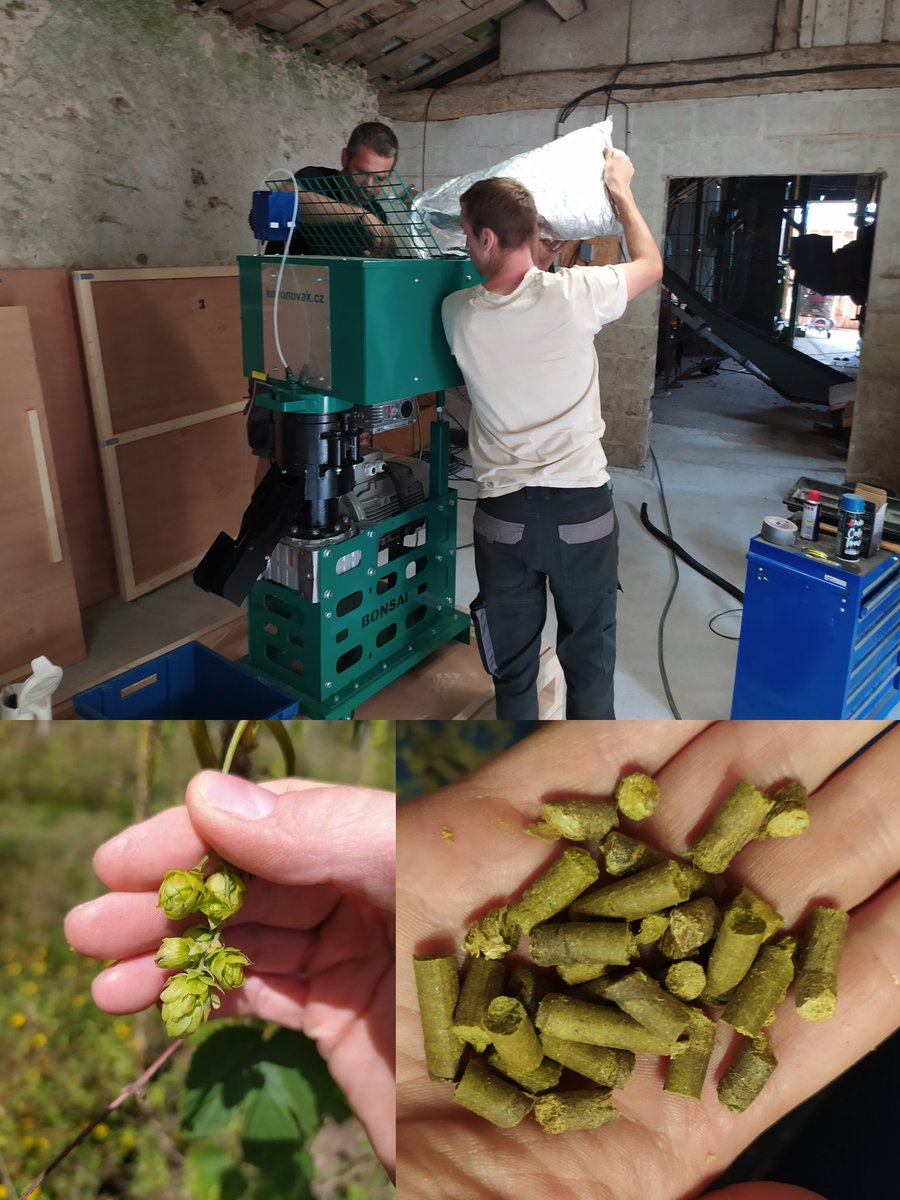 GuillCalvignac's tweet photo. A vos #houblon, prêt, PELLETS !
Le projet innovant de pelletiseuse mobile de l'association Houblon de l'Ouest s'est concrétisé ! Les premiers tests sont bons, et les pellets 2020 ne vont donc pas tarder.. 💪☀️🍻 mais d'abord récolte !
#çahoublonnedanslouest #gieehoublon #HdlO https://t.co/kQE8cUx2zX