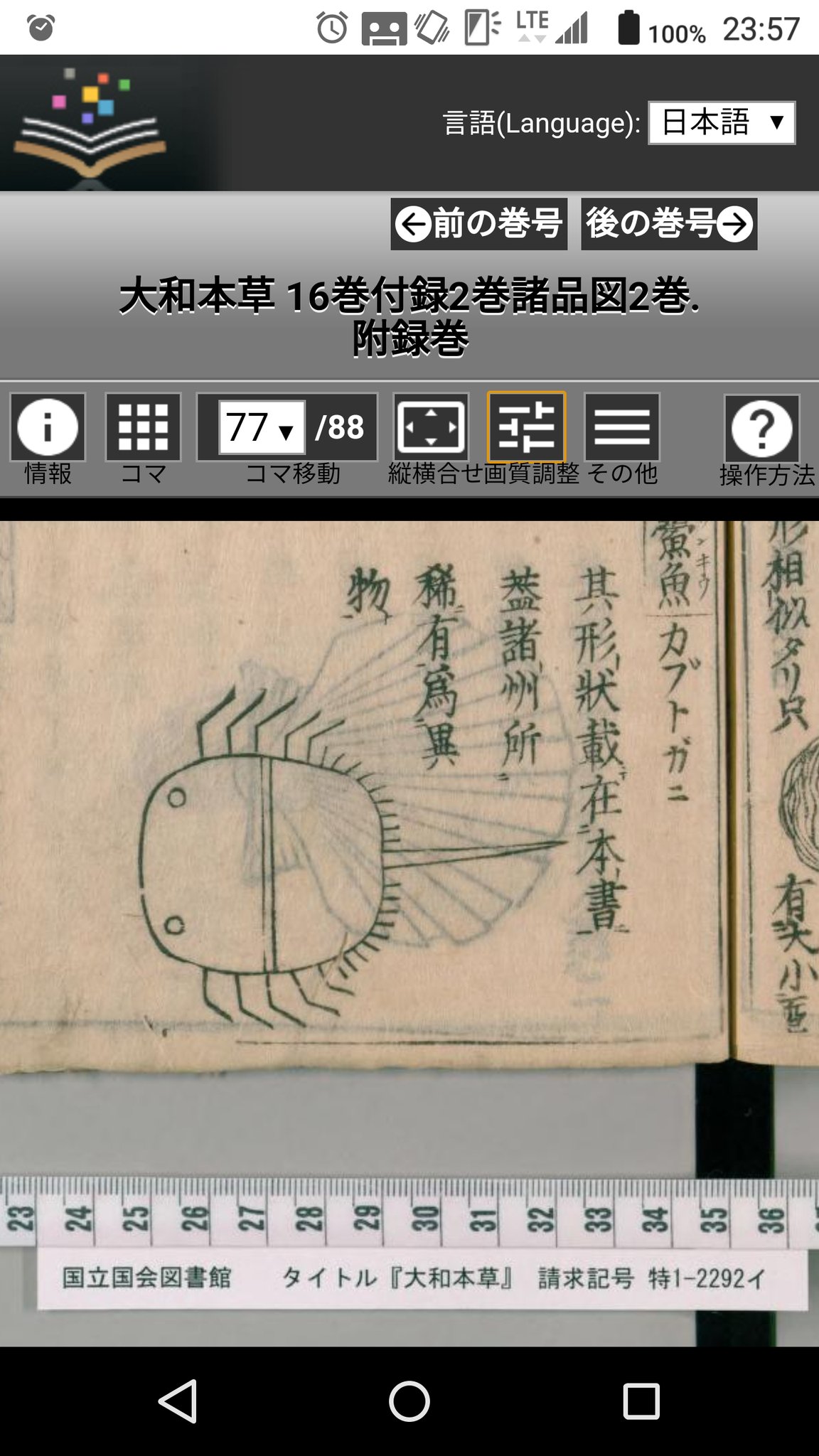 Nishigai on X: Nishigai on X: