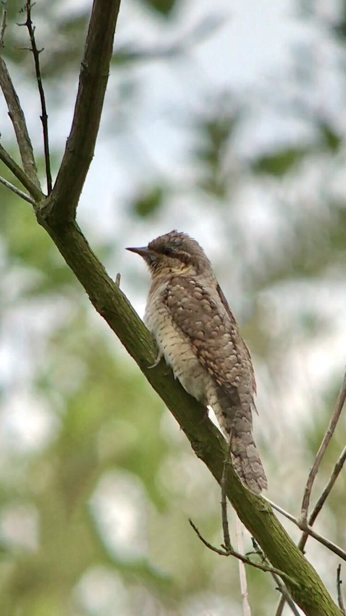 John Hunt tweet media