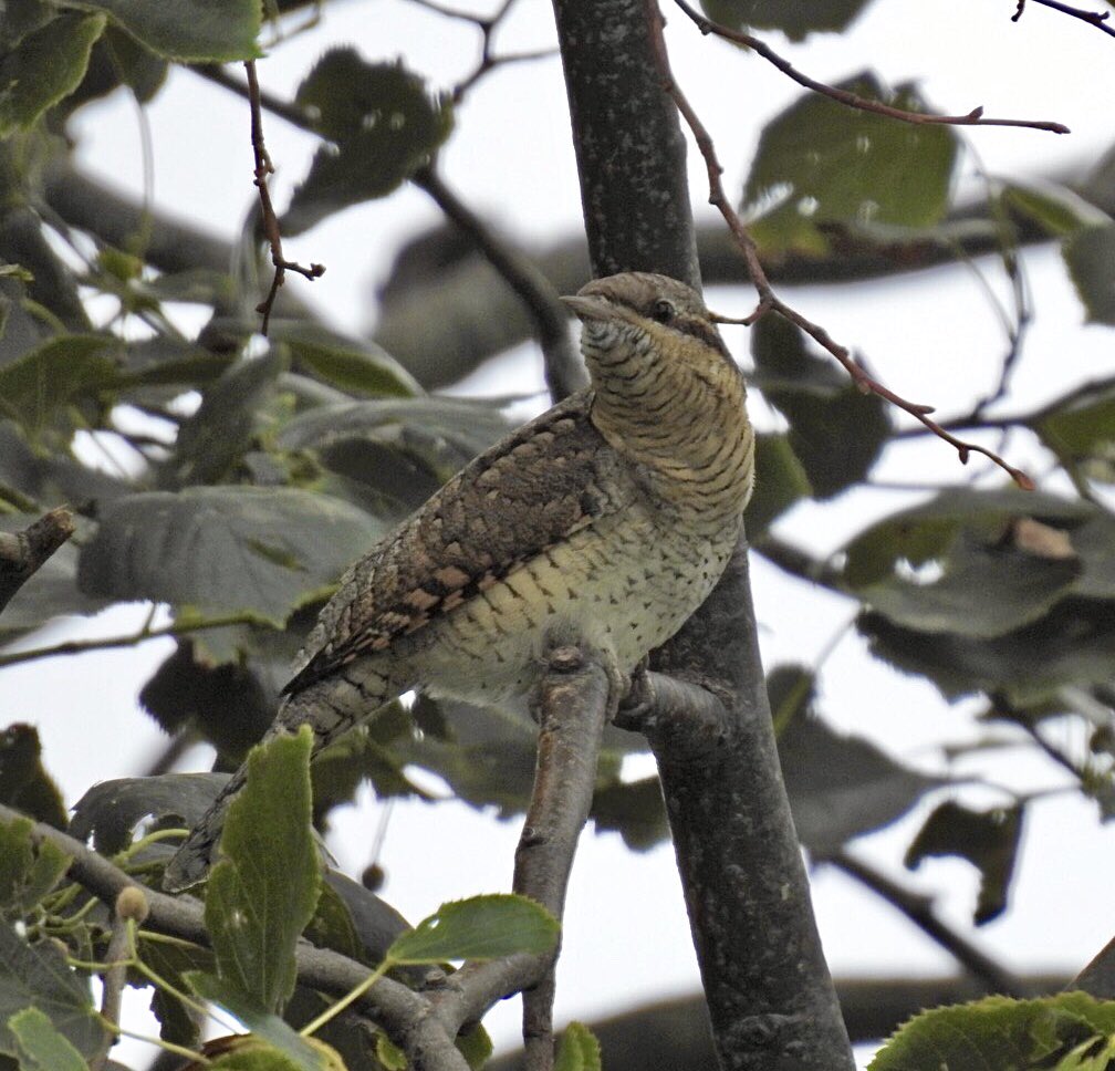 John Hunt tweet media