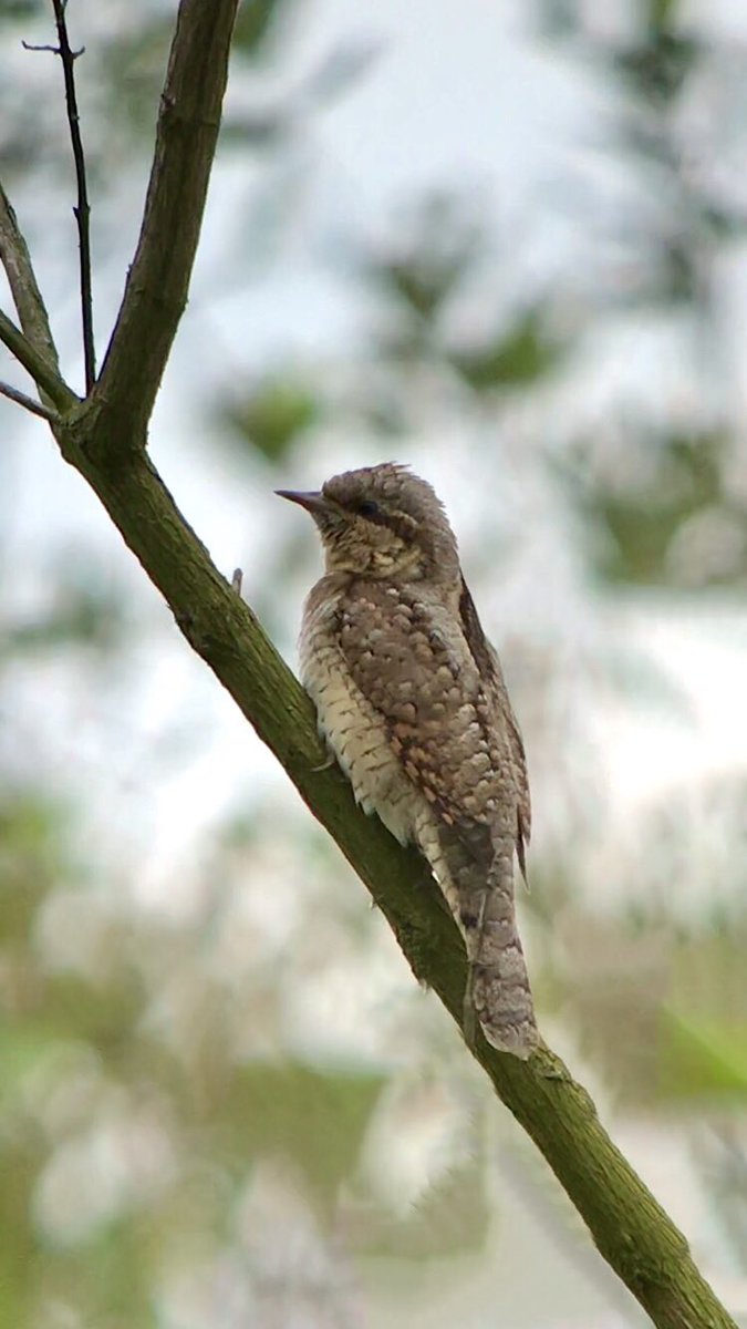 John Hunt tweet media