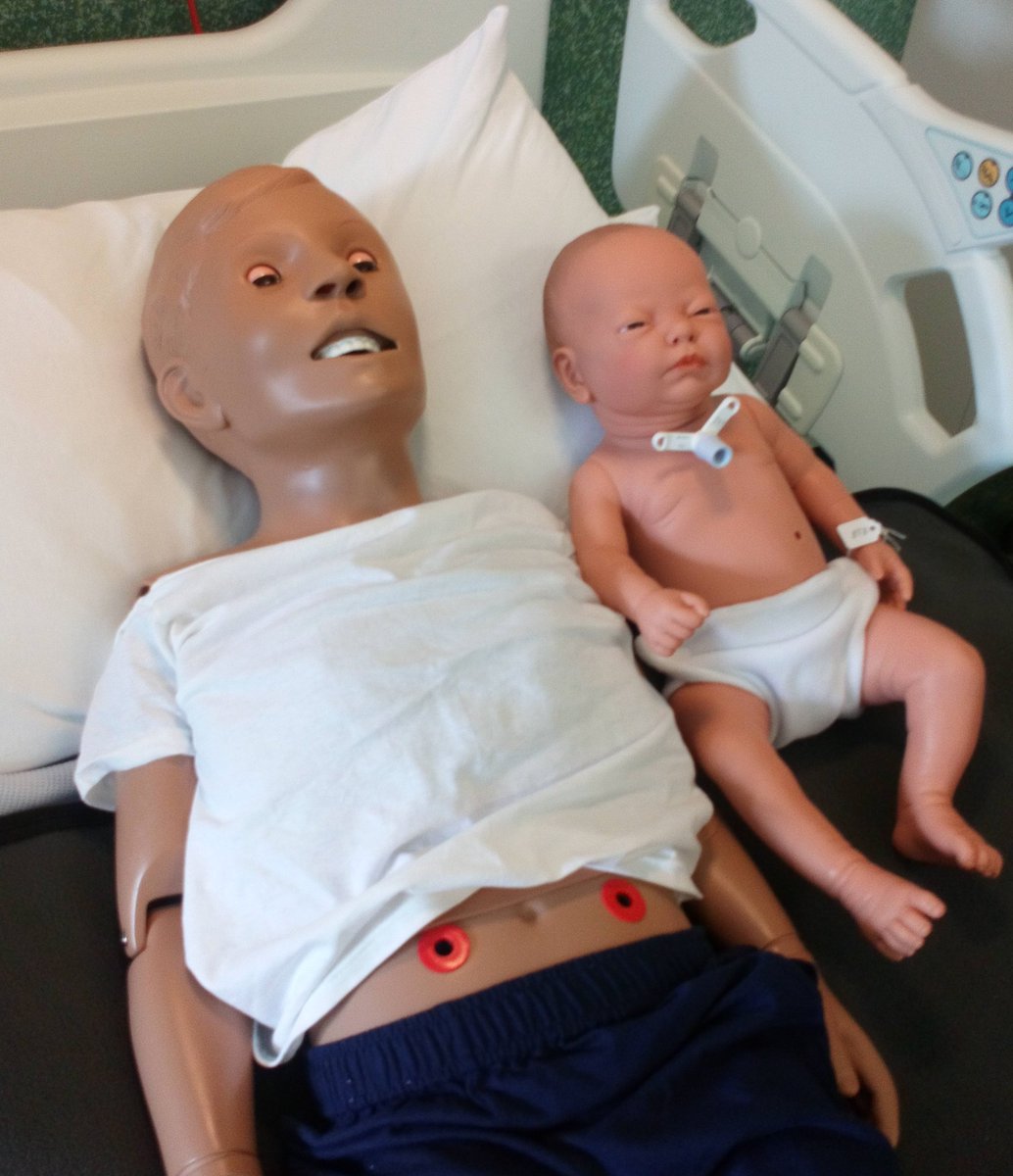 PaedMedEd's tweet photo. 2 New @NHSBorders training team members. Nursing simulators for training of staff and parents. Still to be named. Suggestions welcome. @CoNoahs @mededborders replaces rather well used Chuckie https://t.co/zr0XrghHG8