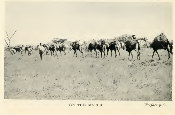  The caravan of the expedition