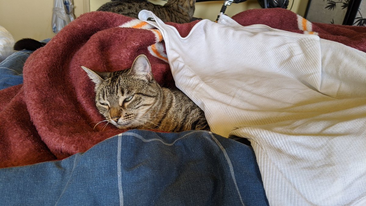 Eric Tobin 🏳️‍🌈 tweet media