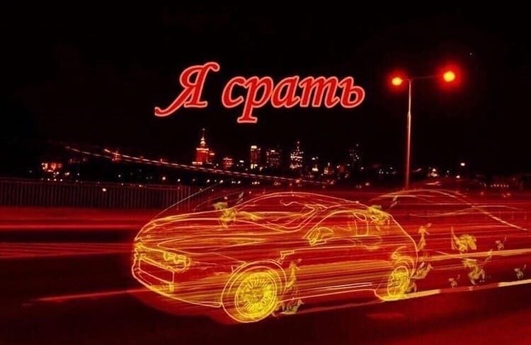 PupaGuadalupe's tweet photo. @chern_ov у меня парни с длинными волосами ассоциируются со львам�� а самцы львов ленивые зажравшиеся альфачи так что https://t.co/drYQIQteWr
