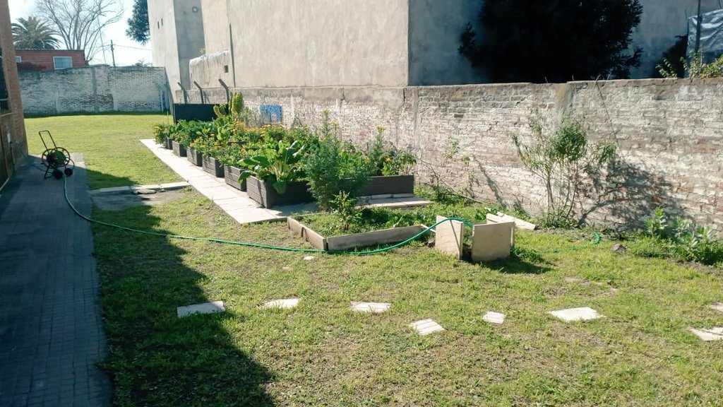 CCMJesusObrero's tweet photo. Buenos días, así amaneció nuestra querida huerta, se ve el compromiso en su cuidado, gracias a @IMASNTigre y @Torcuato_Este  por brindarnos el personal para realizar su mantenimiento, hasta que regresemos a la normalidad y retomemos los talleres para la comunidad. https://t.co/VcGZhGCLMJ
