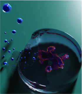 GutOrganoid's tweet photo. It’s out! Neves and Gentleman labs’ work on a new role of ILC1 in intestinal & matrix remodelling. Thank you to @GeraldineJowett for driving this project and thank you to all our collaborators. #Neveslab @Gentlemanlab @gutHOP #organoids #ILC #IBD
https://t.co/NTz5jYjIvm https://t.co/w3Ialb1YhF