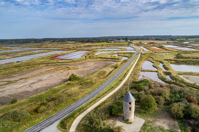 loireatlantique's tweet photo. L'itinéraire cyclable #Vélocéan en #LoireAtlantique permet de parcourir le littoral de la Vendée jusqu'au Morbihan ! Le dernier tronçon, aménagé par le Département entre Saint-Molf et Assérac est terminé 😃🚲🌿 
👉https://t.co/xL3jgb6pND 
#LoireAtlantiqueVelo https://t.co/yHd66ShSMg