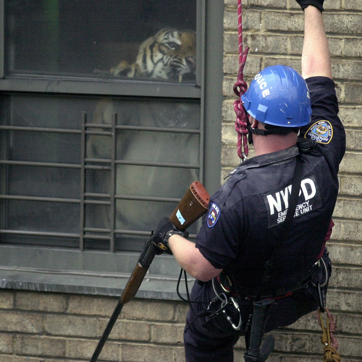 tiredofitall112's tweet image. Shrines 

by Armand Hammer 
#ArmandHammer #Shrines #2020HipHop