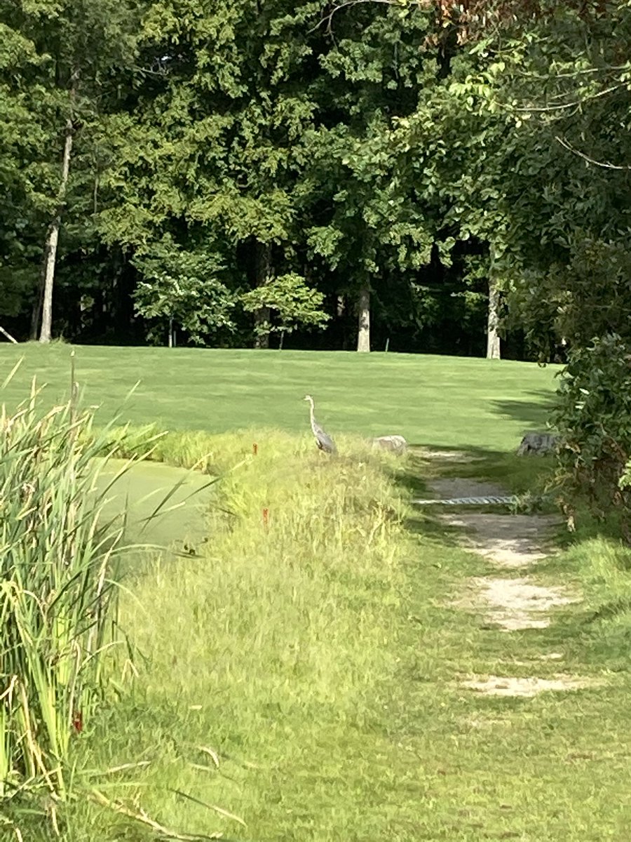 VP_Hyland's tweet photo. Wonderful way to spend a Labor Day, sporting my new @APTAtweets gear, golfing in an apple orchard, perfect weather and broke 80 for the first time in 15 years- 41/38 - and my favorite hat from the 2016 #ShellHoustonOpen with our friends @Caroloddo @KimboBroderick #Selfiegonerowe https://t.co/zQSH3eX9On