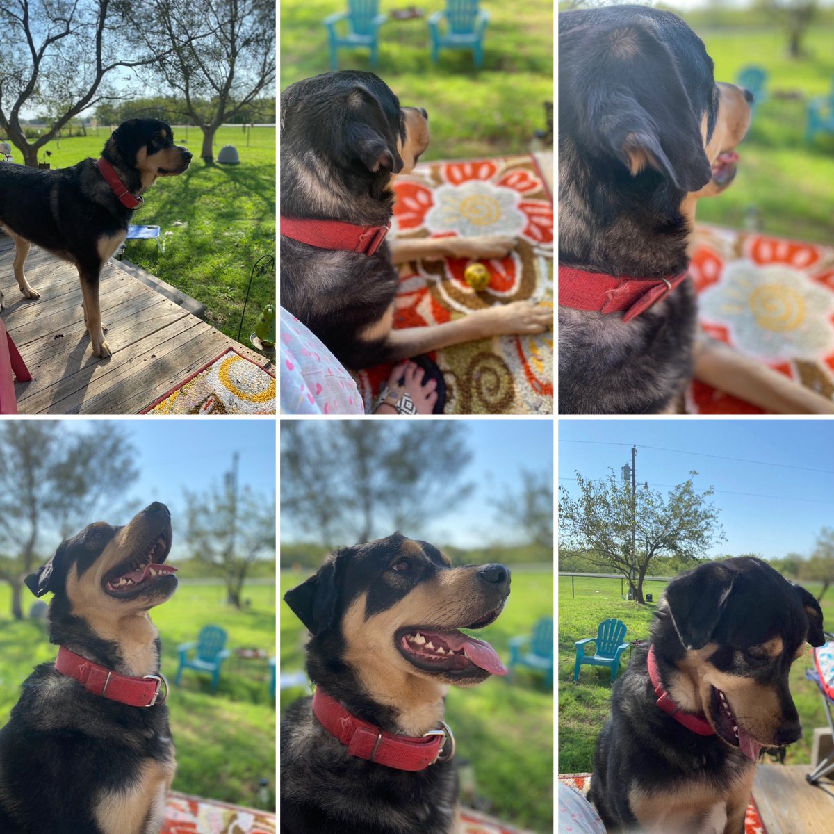 Handsome, loyal, protective... man of my dreams! ❤️❤️❤️