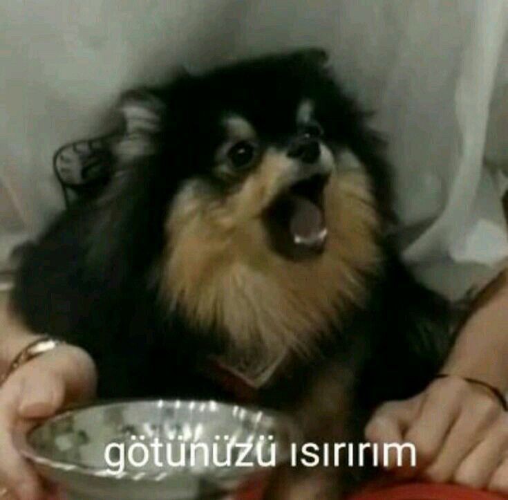 sb_kvsr's tweet photo. #Turkisharmylovesbangtan
Haydaaa vay bee 16.5k 
Gündemde kalma dileğiyle.. https://t.co/L3GbPnJGAE
