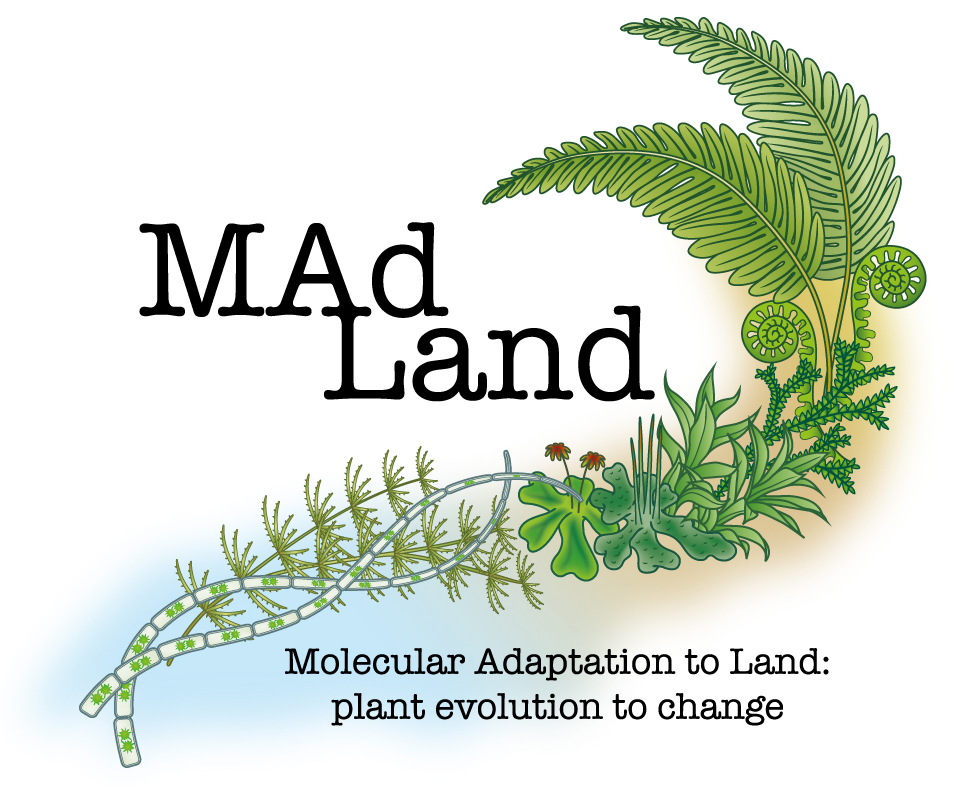 RensingStefan's tweet photo. Please RT, postdoc position available in my lab in the framework of @dfg_public priority programme MAdLand @watertoland #PlantSciJobs https://t.co/mZJoFnHDNn https://t.co/IYTBsrKJCR