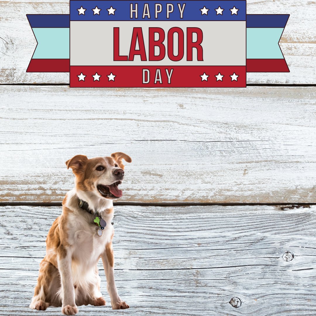 keepyourspanky's tweet photo. Happy Labor Day. 
We hope you have a day filled with relaxation and dog time. 
#laborday #happylaborday #relaxation #nowork #dogs #keepyourspanky #servicedogs https://t.co/l5RWCko8PC