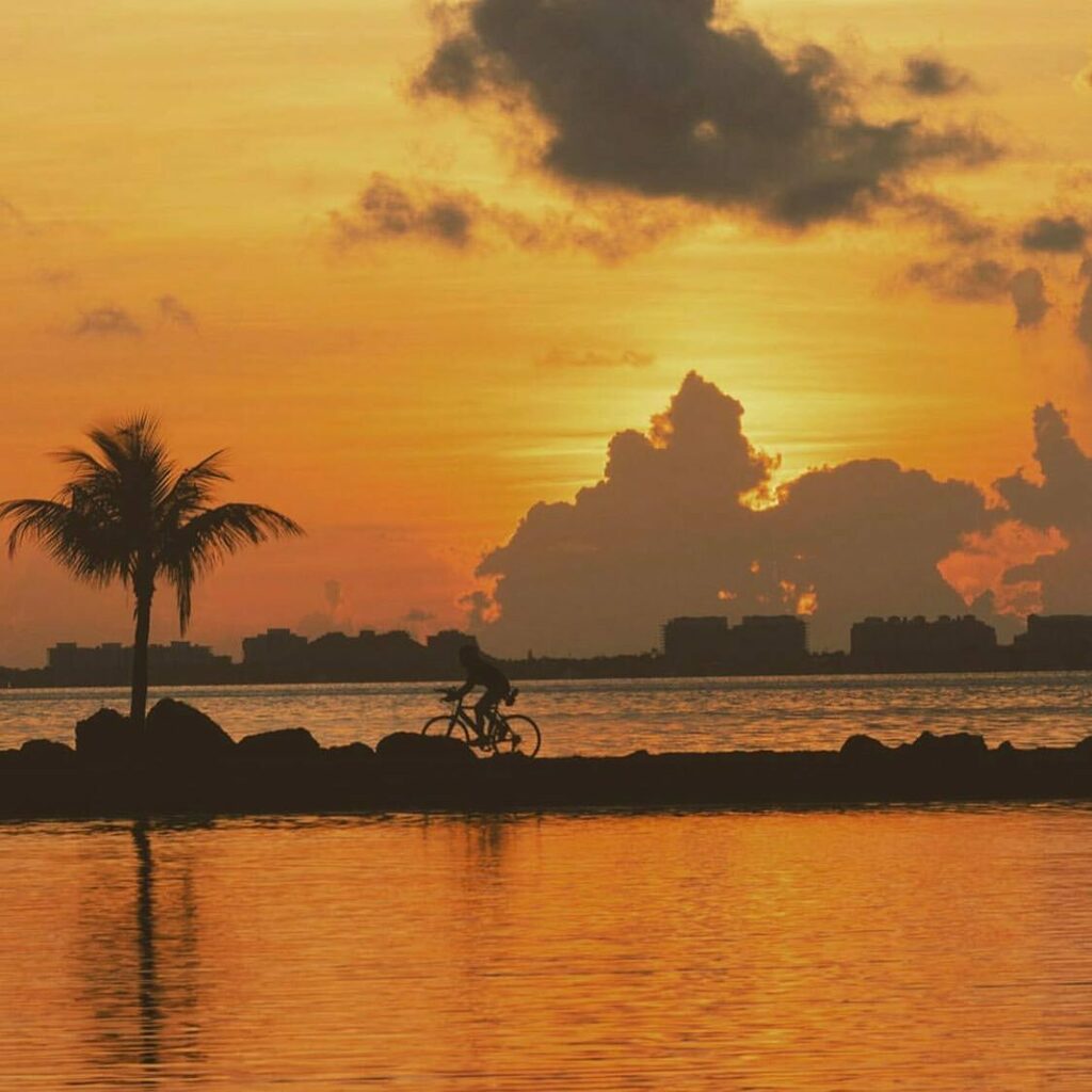 GoodLifeMiami's tweet photo. Itβs Labor Day πΊπΈ Shout out to @jayasree_arun and all who are still putting in work! πͺ π
#happylaborday #miami #goodlifestyle #miamilifestyle #sunrise #goodmorning #goodlifemiami https://t.co/CsaKuA4xhB https://t.co/ibpABTRpCW
