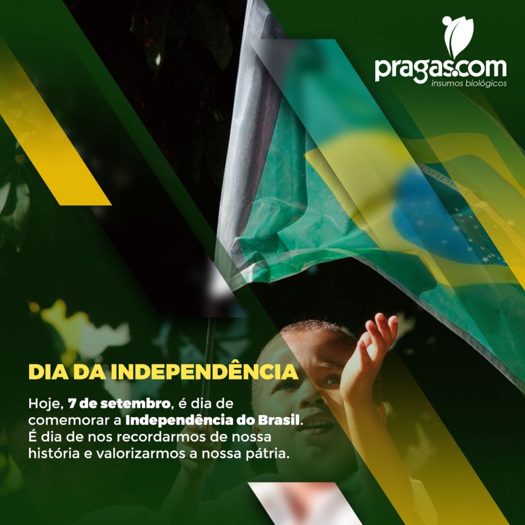 👉 07 de setembro - Dia da Independência do Brasil 🇧🇷
#brasil #7desetembro #independênciadobrasil