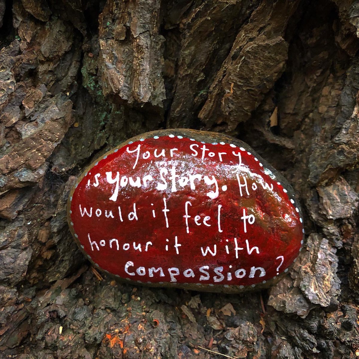 CompassionateRo's tweet image. Your story is YOUR story. How would it feel to honour it with compassion?

Inspired by #365daysofcompassion &amp;amp; @SusanDavid_PhD’s wonderful book Emotional Agility 🙏🏽

#pebbleswithpurpose #rockpainting #compassionaterocks #365daysofcompassion #compassionrocks #compassion