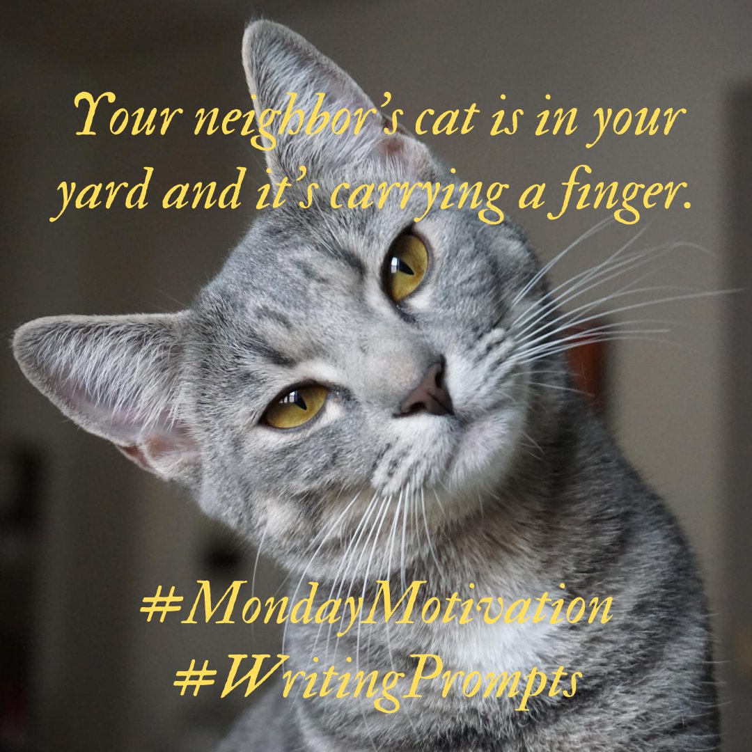 RWAKissofDeath's tweet photo. #WritingPrompt - Your neighbor’s cat is in your yard and it’s carrying a finger. #RWAKissofDeath #amwriting #writerscommunity #aspiringwriters #mondaymotivation #writingcommunity https://t.co/6LCqLHFVS2