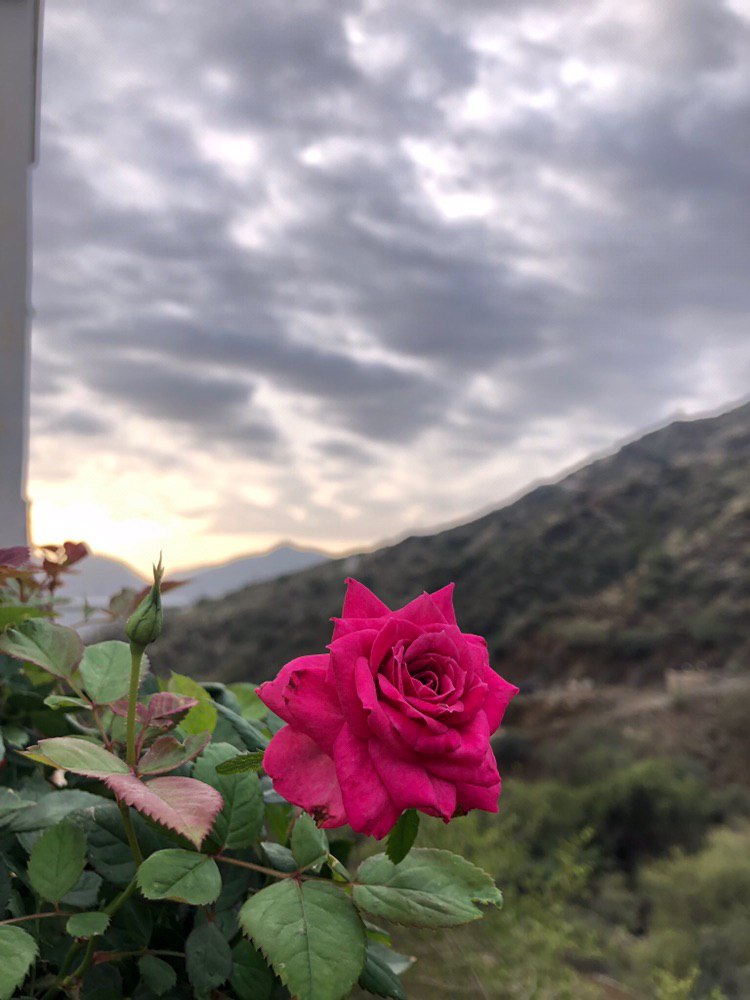 *لا صارت الدنيـا زحـام وجمهـره* 
*ابحث عن الحكمه بقدر المستطاع* 
ٰ
*الصمـت متعـه في زمـان الثرثـره* 
*وأجمل حضور .. إتقان فـن الاستماع* 👌🏻😌🖤