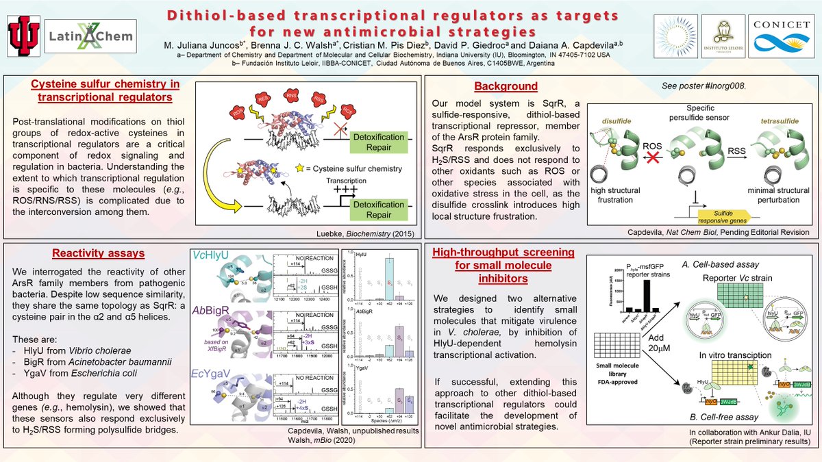_juliariadne's tweet photo. Hola @LatinXChem ! I’m excited to share my poster “Dithiol-based transcriptional regulators as targets for new antimicrobial strategies” with you!  #LatinXChem #LatinXChemInorg #Inorg073 https://t.co/B4xQW8gMir