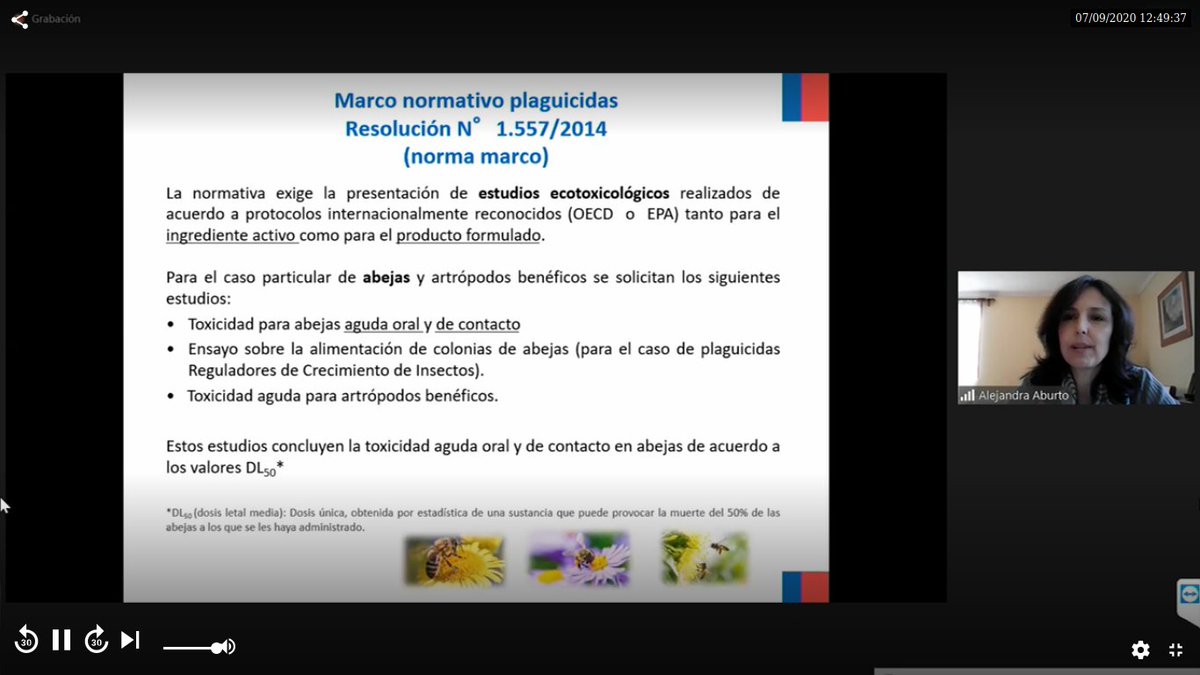 juanseapi's tweet photo. Ahora presenta el SAG sobre Plaguicidas. Obvio que se harán los locos con que los ensayos son todos en laboratorio. No hay estudios a nivel de campo, a la realidad de la sinergia de distintos principios activos en simultaneo.

Se estudia cada P.activo por separado. https://t.co/F3khSeuRU5