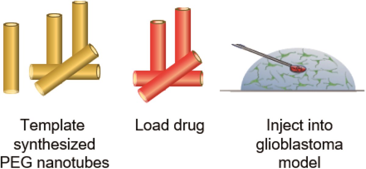 nanoscale_rsc's tweet photo. π₯ New advance #HOT article for Nanoscale Advances! π₯ Ben Newland @PharmacyCU et al exploring "Poly(ethylene glycol) based #nanotubes for #tuneable drug delivery to #glioblastoma multiforme" #openaccess
π§ Read the article π https://t.co/gYYLWwhOX5 https://t.co/48nIHuYdtB