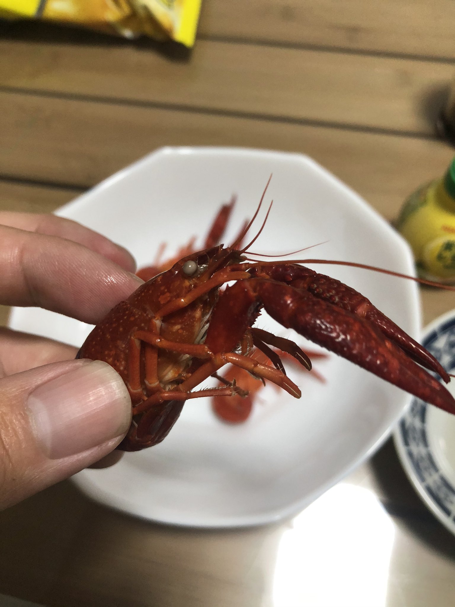 タだお ちなみにザリガニ豆知識 ザリガニは脱皮を繰り返して体が大きくなって欠損した脚も回復するんですが 目の付け根の 眼柄という部分 ここで 体が大きくなりすぎないよう抑制するホルモン を出してるので 眼柄を切除すると 脱皮サイクルが