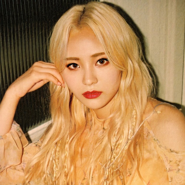 tiny jinsoul (@tiny_jinsoul) on Twitter photo 