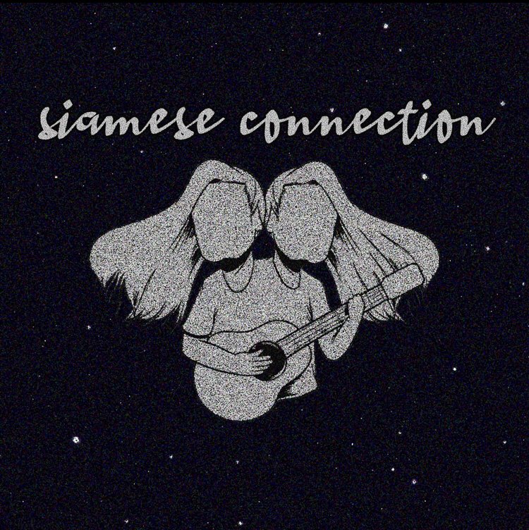 “I Wanna Die In Space” by <a href="/siamesecon/">Siamese Connection</a>
siamesecon.bandcamp.com