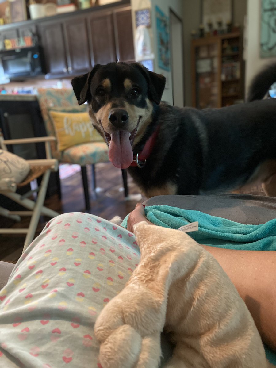 Debi Wachsman (@debilucylle) on Twitter photo 