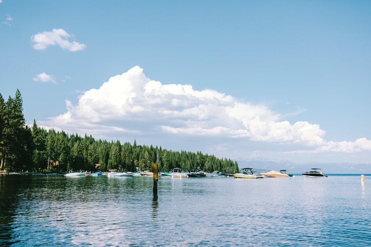 Happy Labor Day! 🌊 🌲  We hope you have a safe and fun day! 🇺🇸