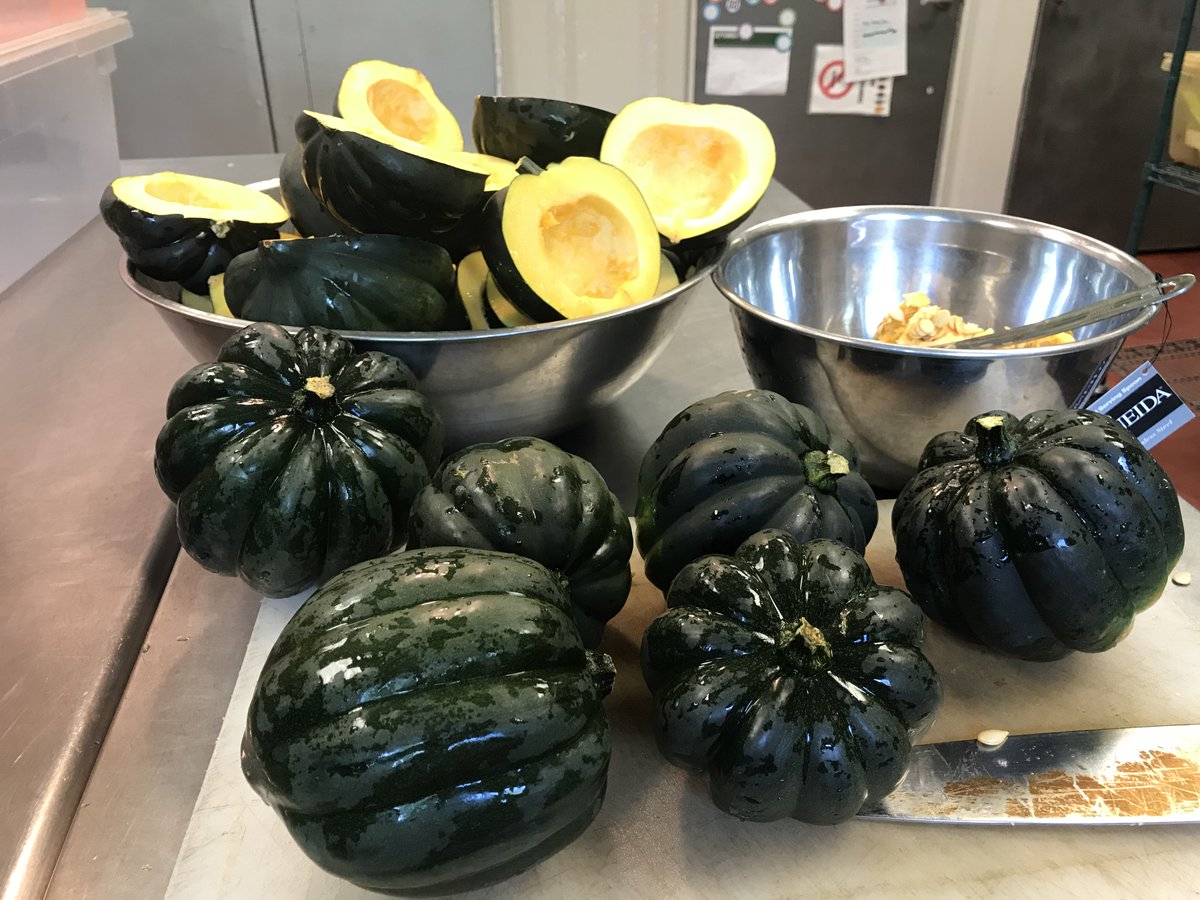 projectchimps's tweet photo. #AcornSquashDay While we mostly give the chimps raw produce, we like to mix it up, particularly with squash! These acorn squashes were roasted with a bit of cinnamon for the chimps to enjoy this vegetable (or fruit if you want to be botanically correct).

#MandyChimp #RonaldChimp https://t.co/82FYDeDnoN