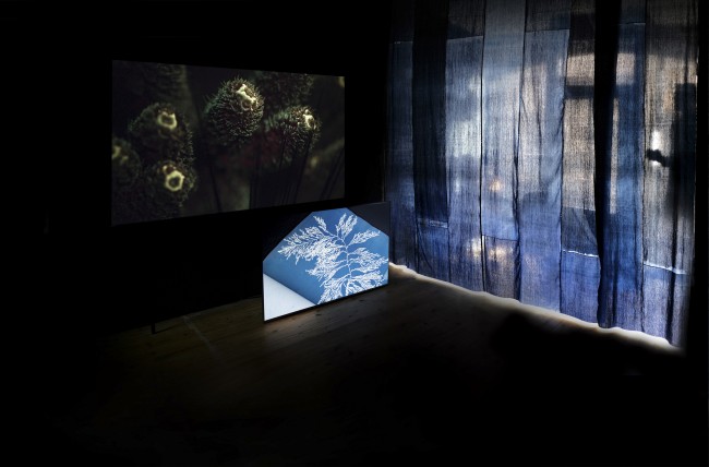 AA2Aproject's tweet photo. AA2A's Environmental Summer... AA2A artist @jezrileyfrench's 'For the love of Corals' soundtrack  captures micro sounds and resonances of live coral @HornimanMuseum #projectcoral 
Film/ installation: @sonialevy Installation music: @georgia_georgia
More at: https://t.co/KTkTsE4pqY https://t.co/DKiJVd4RSq