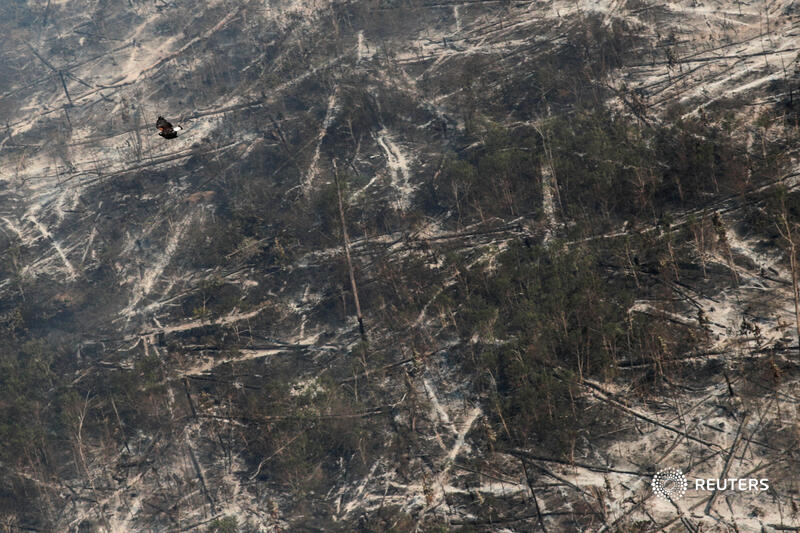 In the dry season, ranchers and land speculators set fires to clear deforested woodland for pasture. Blazes can rage out of control, fueled by the swirling wind and dry foliage 4/5