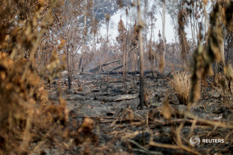 In the dry season, ranchers and land speculators set fires to clear deforested woodland for pasture. Blazes can rage out of control, fueled by the swirling wind and dry foliage 4/5